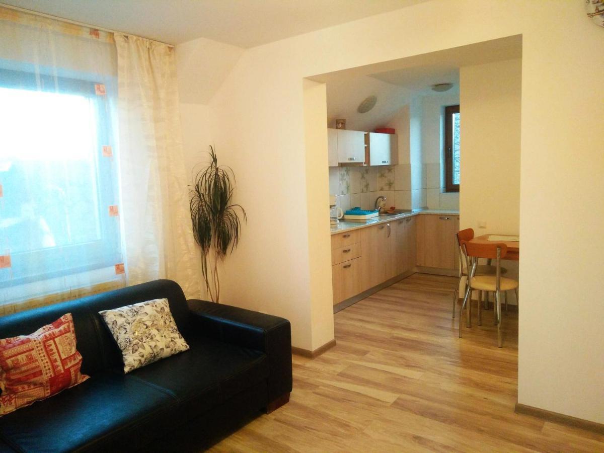 Smb Holiday Apartment ブラショフ エクステリア 写真